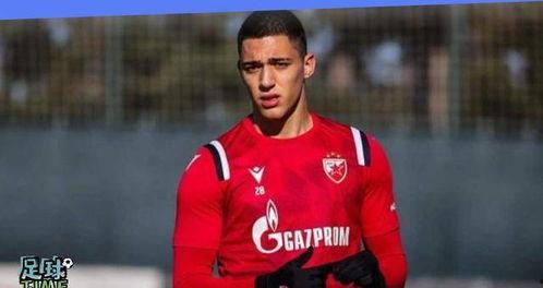 塞尔维亚最新爆料消息,揭秘重大国际事件背后真相！”  第2张